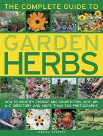 Complete Guide to Garden Herbs