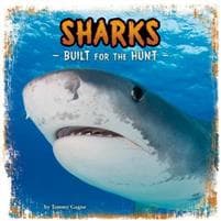 Sharks