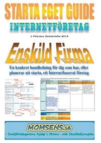 Starta Eget Guide : Internetföretag