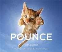 Pounce