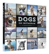 Dogs On Instagram
