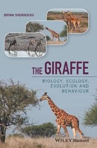 The Giraffe