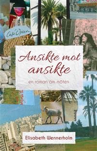 Ansikte mot ansikte : en roman om möten