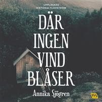Där ingen vind blåser