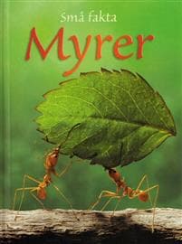 Små fakta: Myrer, BB