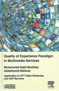 Quality of Experience Paradigm in Multimedia Services