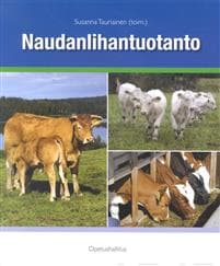 Naudanlihantuotanto