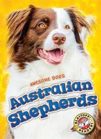 Australian Shepherds