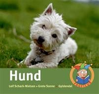 Hund