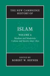 The New Cambridge History of Islam