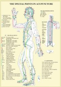 Special Points in Acupunture -- A4