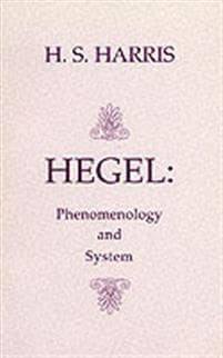 Phenomenology and System