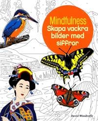 Mindfulness : skapa vackra bilder med siffror