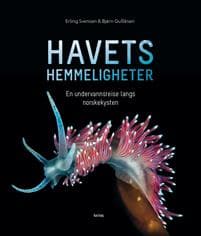 Havets hemmeligheter; en undervannsreise langs norskekysten