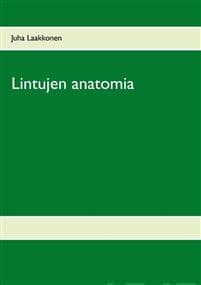 Lintujen anatomia