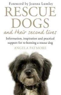Rescue Dogs and Their Second Lives