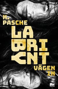 Labyrint vägen in