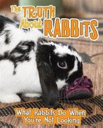 The Truth about Rabbits
