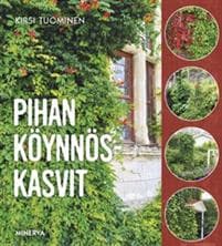 Pihan köynnöskasvit