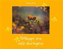 Ystävyys on valo auringon