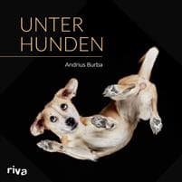 Unter Hunden