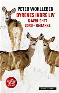 Dyrenes indre liv; kjærlighet, sorg, omtanke