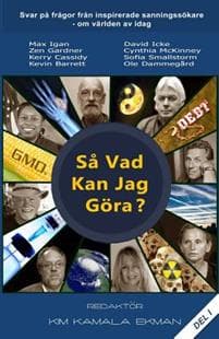 Så Vad Kan Jag Göra?: Svar På Frågor Från Inspirerade Sanningssökare Om Världen AV Idag