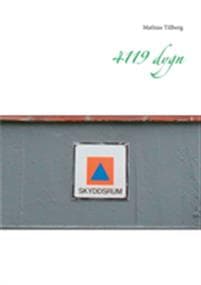 4119 Dygn
