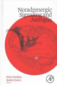 Noradrenergic Signaling and Astroglia