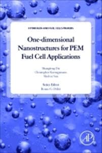 One-dimensional Nanostructures for PEM Fuel Cell Applications