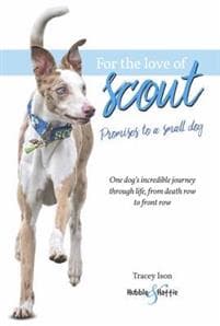 For the Love of Scout