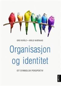 Organisasjon og identitet
