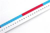 Numicon: 0-100cm Scale Number Line
