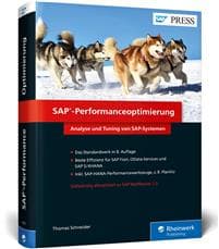SAP-Performanceoptimierung