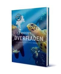 UNDER OVERFLADEN