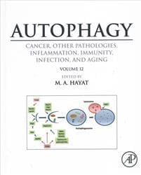 Autophagy: Cancer, Other Pathologies, Inflammation, Immunity, Infection, and Aging