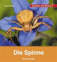 Die Spinne