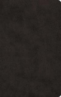 ESV Large Print Value Thinline Bible