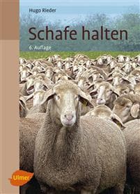Schafe halten