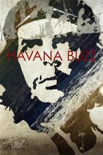 Havana Buzz
