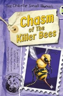 BUG CLUB CHARLIE SMALL THE CHASM OF THE