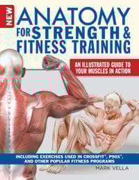 Anatomy for Strength and Fitness Training