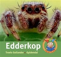 Edderkop