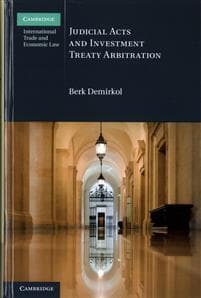 Judicial Acts and Investment Treaty Arbitration