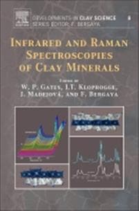 Infrared and Raman Spectroscopies of Clay Minerals