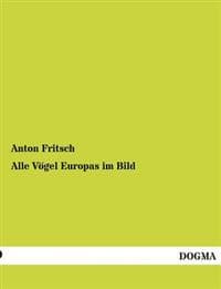 Alle Vogel Europas Im Bild