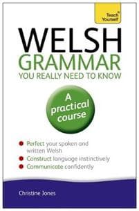 Welsh Grammar You Really Need to Know: Teach Yourself