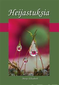 Heijastuksia