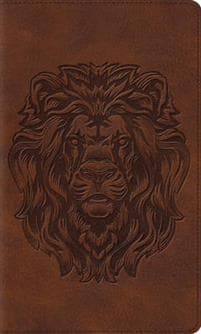 ESV Thinline Bible, Red Letter