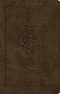 ESV Large Print Value Thinline Bible